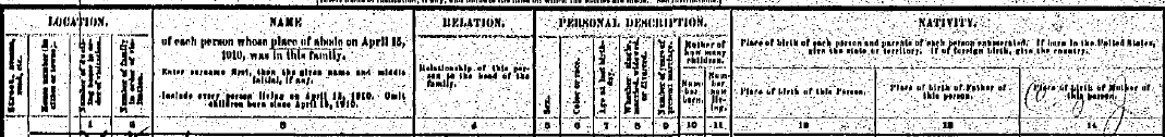 1910 Census Header