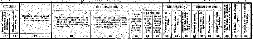 1910 Census Header