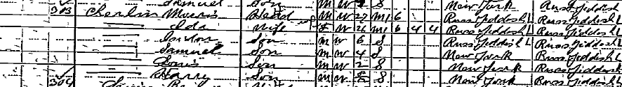 1910 Census