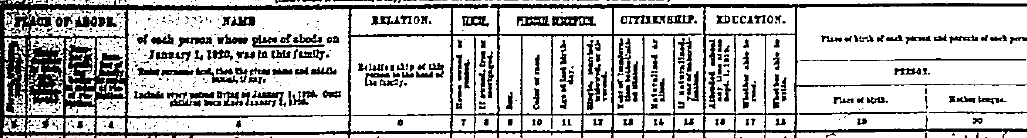 1920 Census Header