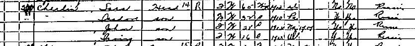 1920 Census