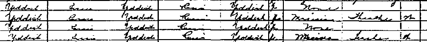 1920 Census